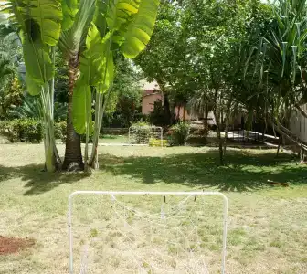 Plaza Real Resort - 16