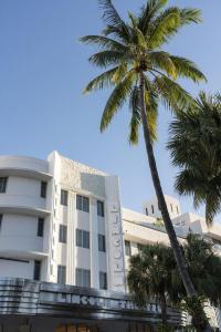 The Ritz-Carlton South Beach - 38