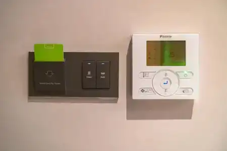 Triple Y - 80