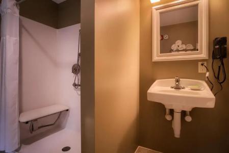 Sun & Ski Inn and Suites - 105