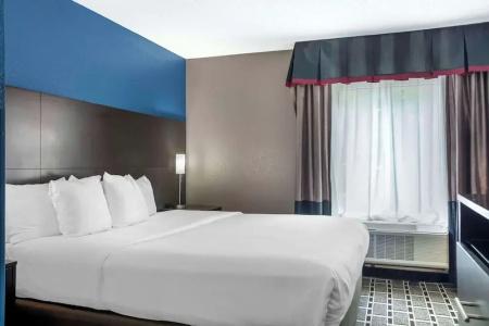 Comfort Suites Airport Nashville - 47