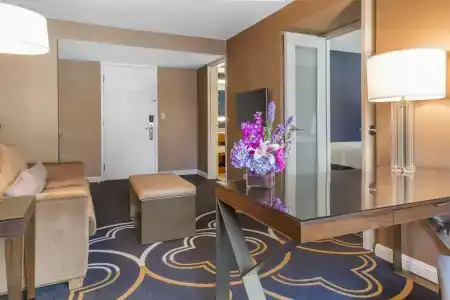 Omni Chicago & Suites Magnificent Mile - 115