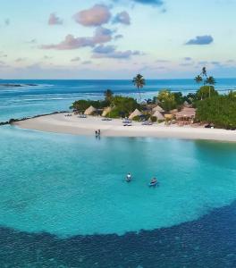 The Maverick Surf and Dive Boutique - 9