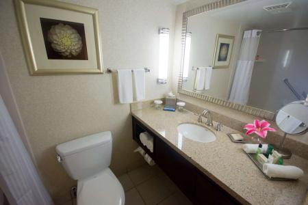 Hilton Palm Beach Airport - 8