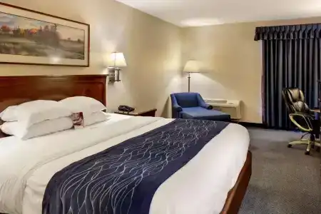 Comfort Inn - 46