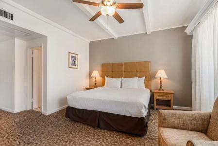 Best Western Plus - 50