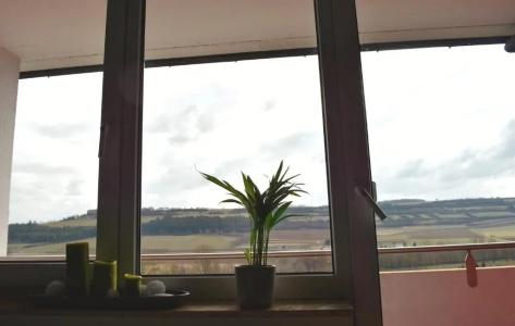 Savoy Bad Mergentheim - 44