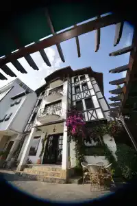 Zinos - 1