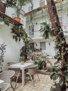 Mosquito Boutique Zona Colonial - 18