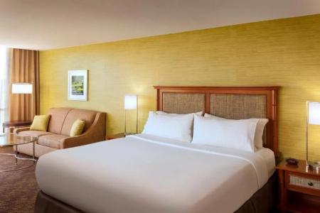 Holiday Inn Austin -Town Lake, An Ihg - 55