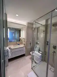 The Ashtan Sarovar Portico - 18