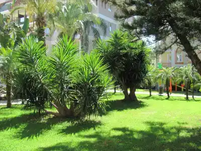 Side Village - All Inclusive - 25