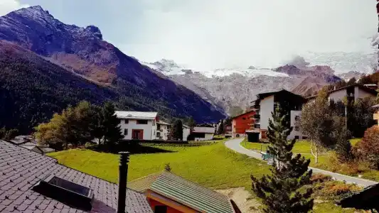Alpenperle - 40