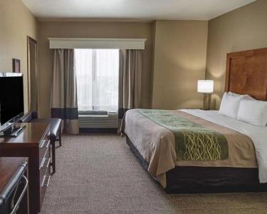 Comfort Inn South I-20 - 31