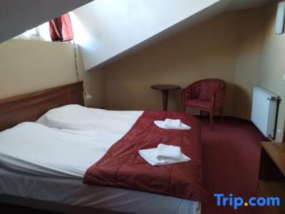 Asteri Bansko & FREE ski equipment by Asteri Hotels - 17