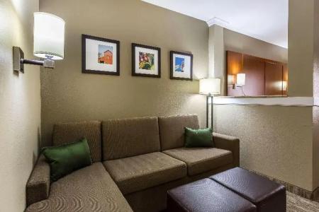 Comfort Suites - University - 46