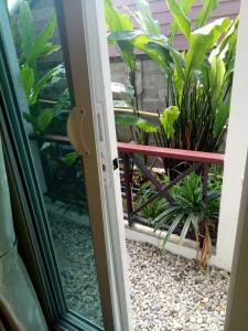 Baan Jaru - 39
