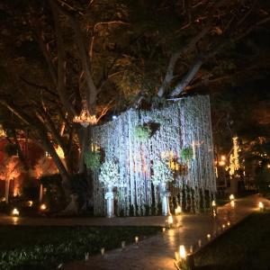 Hacienda Santa Cruz Merida - 23