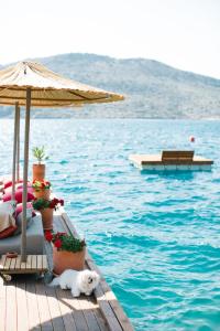 Karia Bel - Adult Only +12 - 22