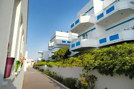 Mimoza - 14
