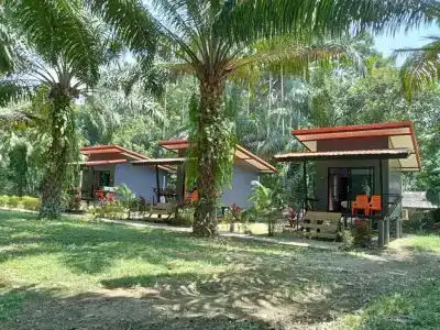 Khao Sok Palm Garden Resort - 23