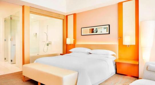 Sheraton Grand Hiroshima - 46