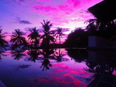 The Plantation Koh Tao - 16