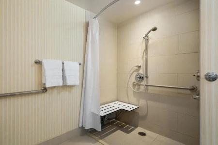 Sheraton Carlsbad Resort & Spa - 83