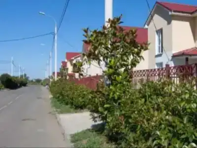 Дарина - 4