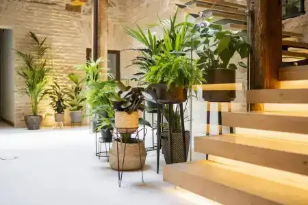 Azacanes Hostal Boutique Toledo - 14