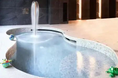 Spa Vilnius Druskininkai - 46