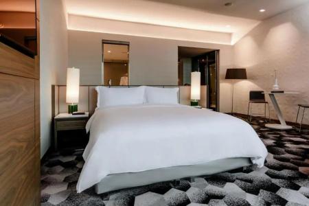 Sofitel Mexico City Reforma - 72
