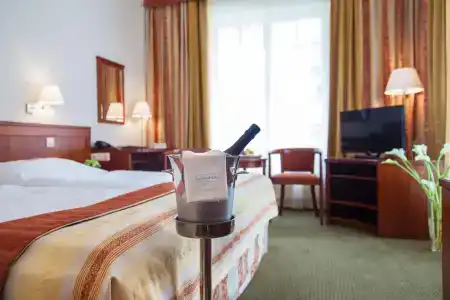 Spa & Wellness Olympia Marienbad - 6