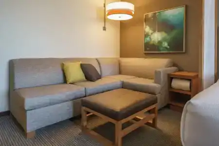 Hyatt Place Houston Galleria - 27