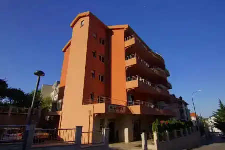 Stella di Mare - 0
