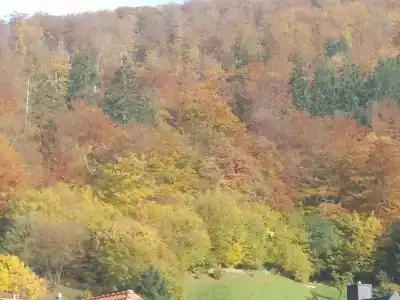 Landgasthof Kleine Kommode - 14