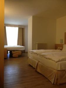 Alpen Eghel - 55