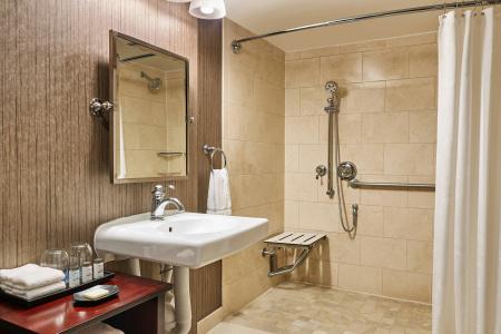 Sheraton North Houston at George Bush Intercontinental - 37