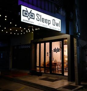 Sleep Owl - 32