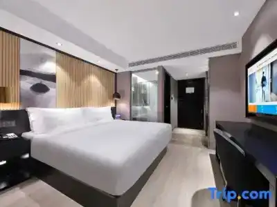 Kyriad Tours Centre - 69