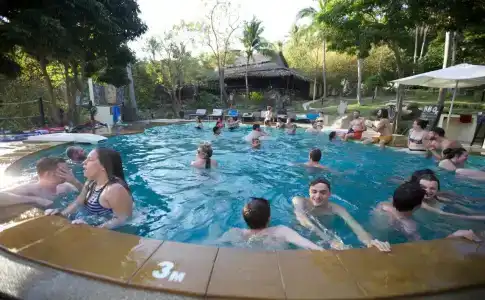 Shiralea Island Resort - 5