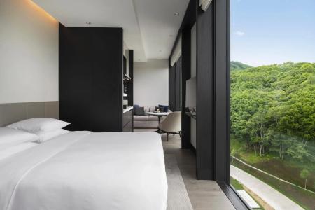 Park Hyatt Niseko Hanazono - 48