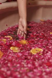 Fairmont Jaipur - 75