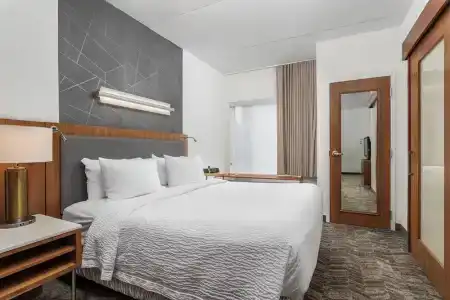 SpringHill Suites by Marriott Downtown/Cameron Harbor - 48