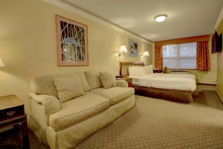 Senator Inn & Spa - 41