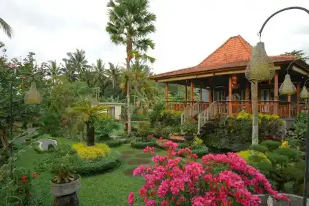 Capung Mas - 22