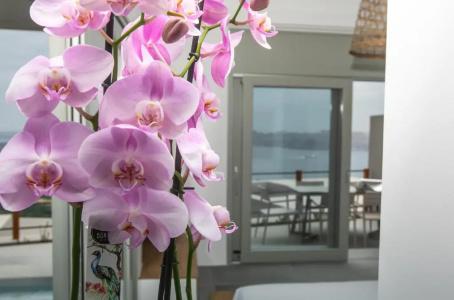 Melidonia Suites - 159