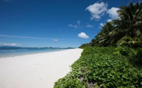 Villas des Alizes beachfront suites and garden villas - 10