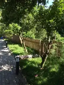 Villa la familia - 38