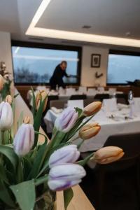 Restaurant Panorama - 30